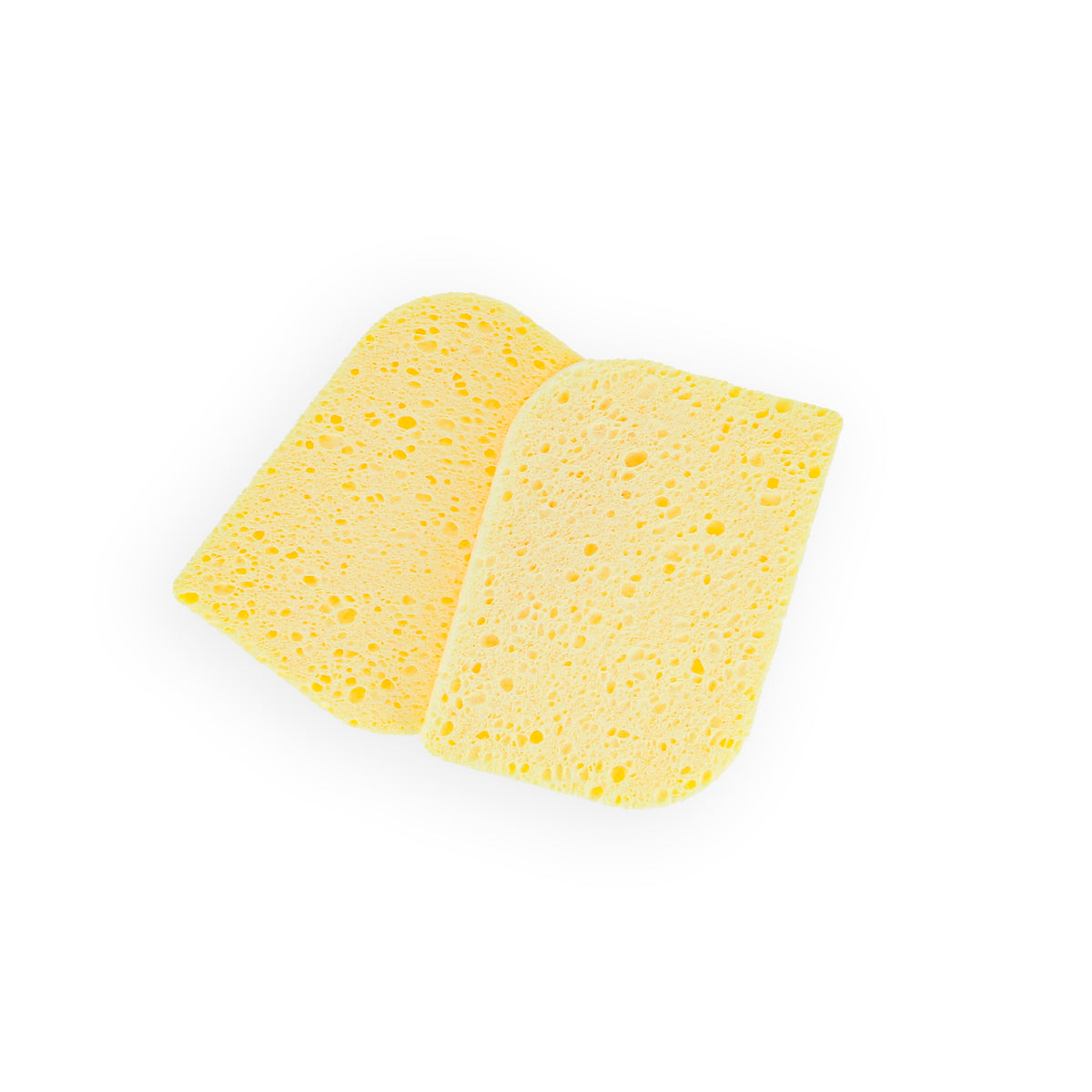 Eponge Naturelle Visage Ovale GM X2