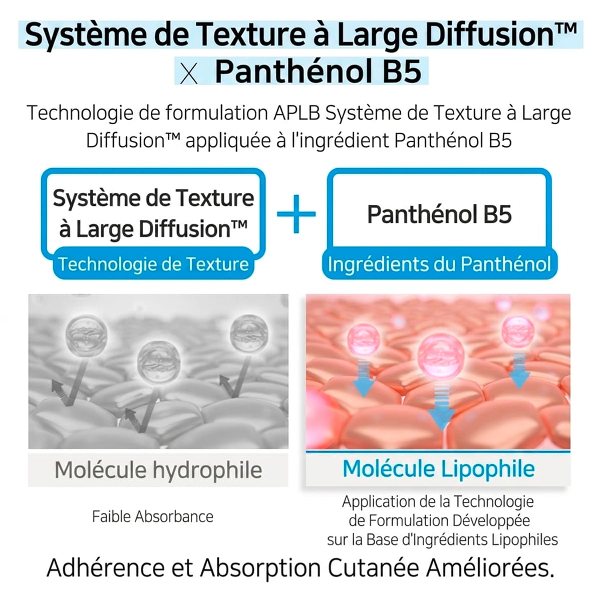 Lotion Tonique Acide Hyaluronique Céramides HA B5