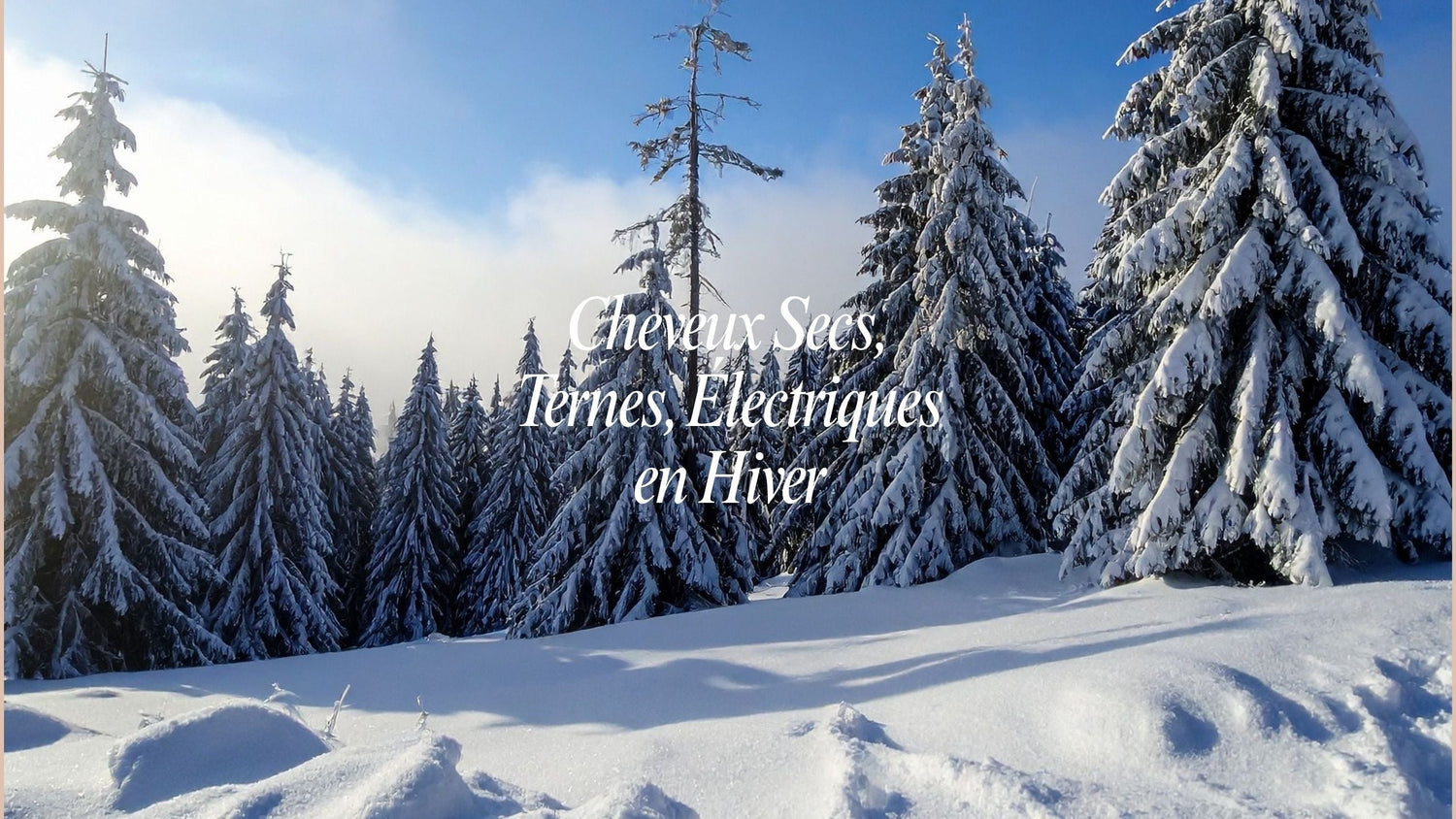 Cheveux Secs, Ternes, Électriques : Les Solutions Anti-Froid