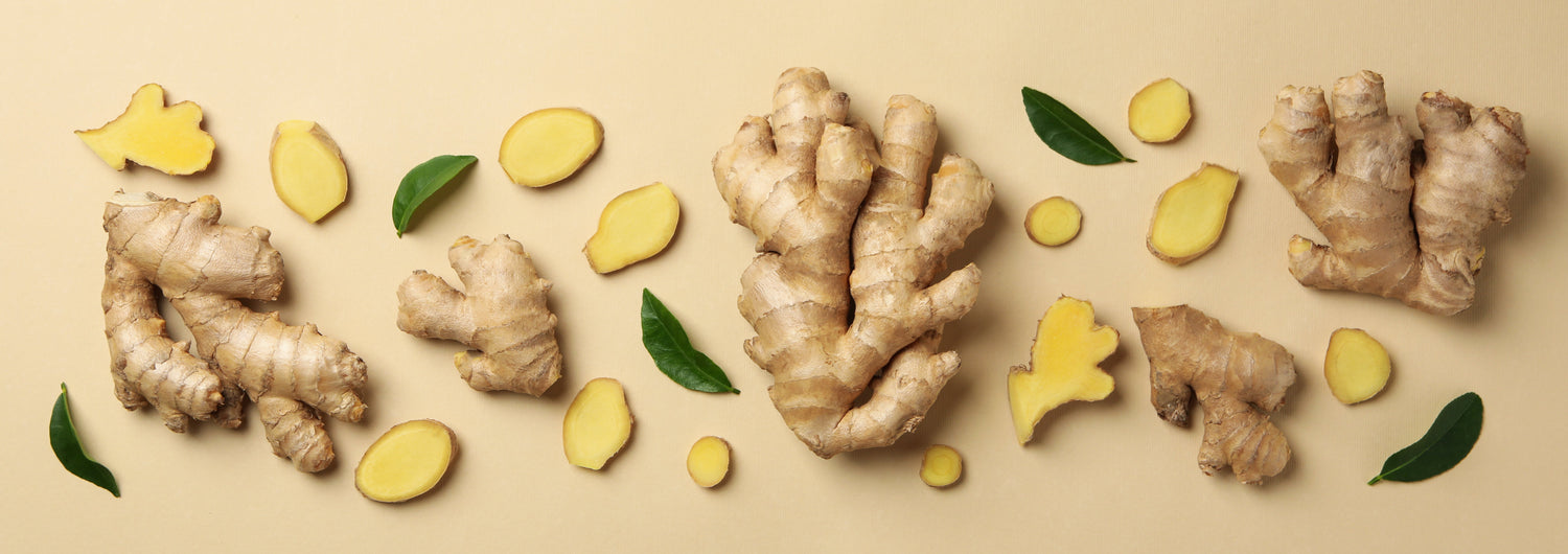 gingembre