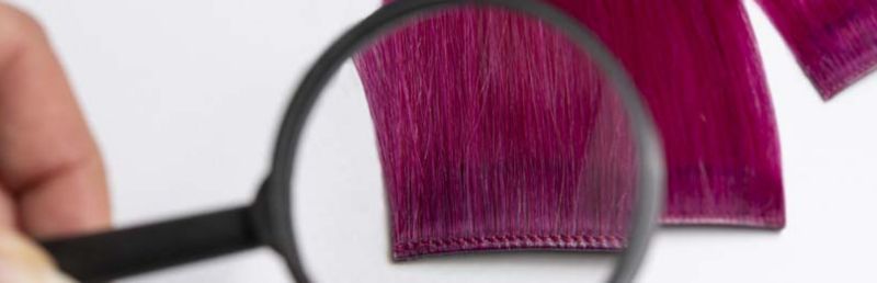 Catégorie extension clips.jpg