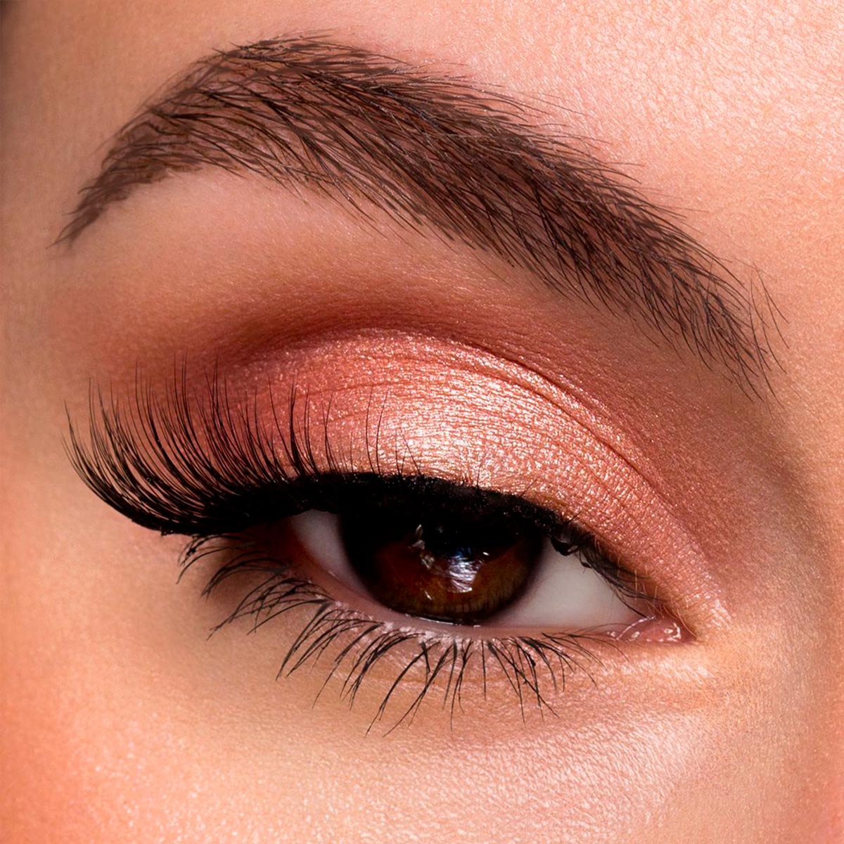 Color Idol Single Eyeshadow
