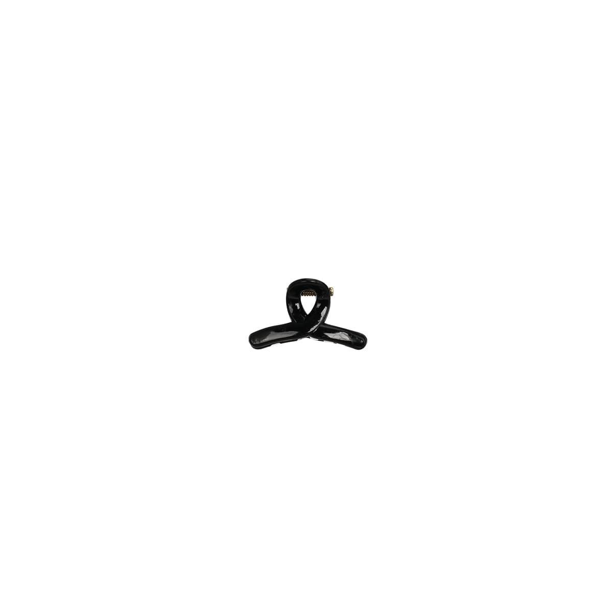 Boîte de 10 Mini Pinces Cheveux