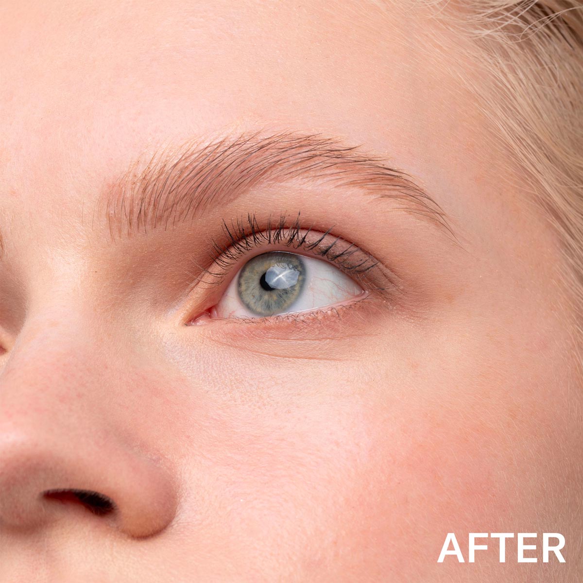 Feutre sourcils SIGNBROW