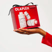 Kit Total Hair Repair Set
