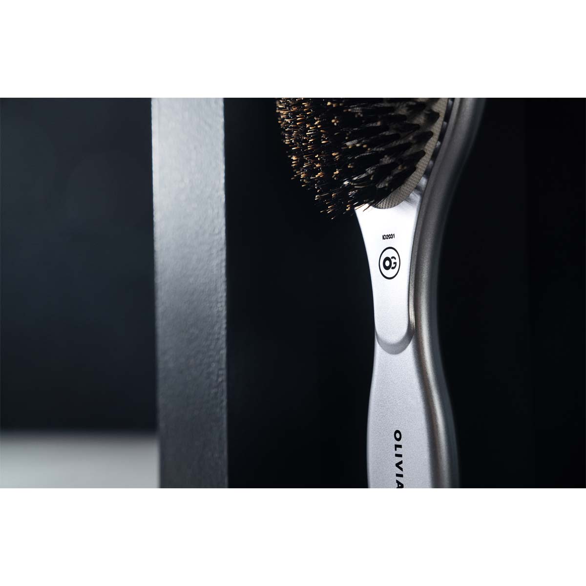Expert Care Oval Silver Boar Brush