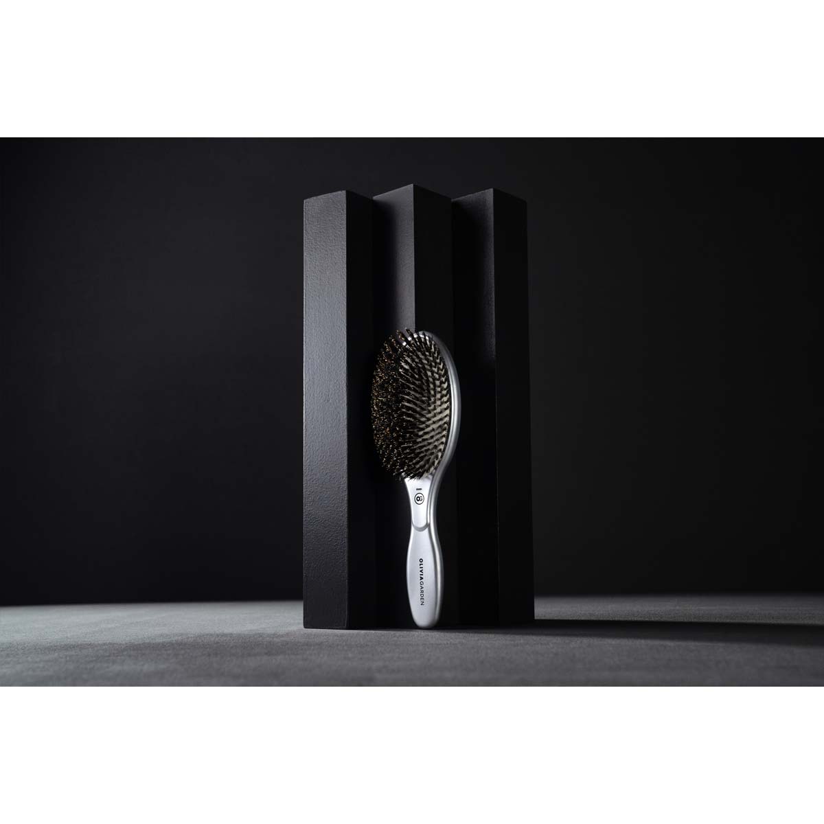 Expert Care Oval Silver Boar Brush