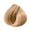 Glossy color Shinefinity