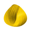 Pure Chromatic Nuances Subtle Mix Tone