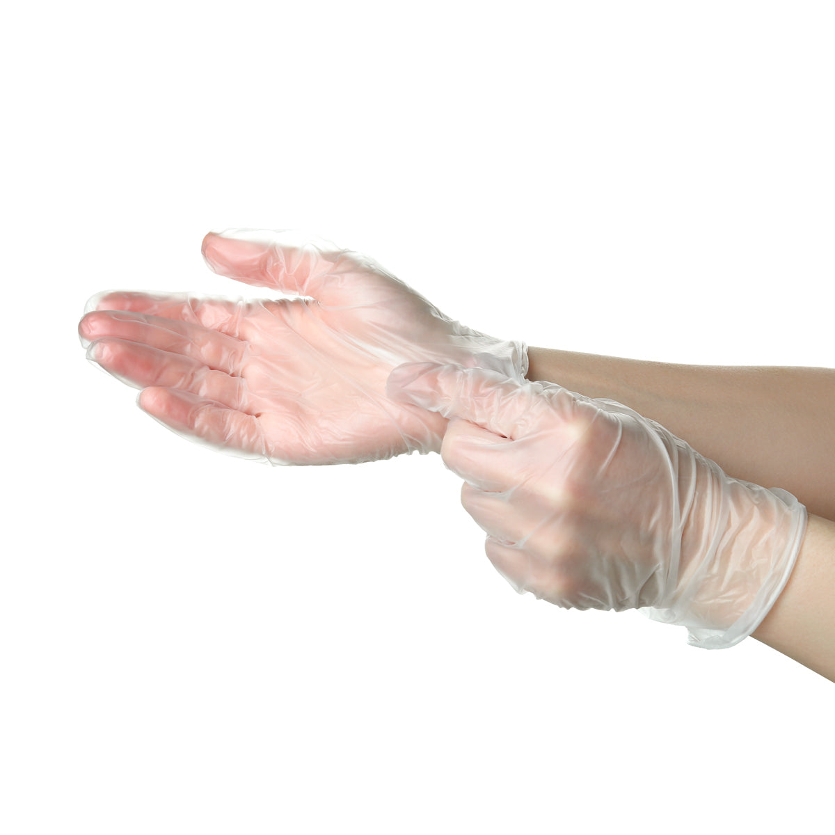 Vinyl Powder-Free Gloves X100