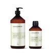 Restorative and Strengthening Shampoo for Damaged Hair Kinessences Restore