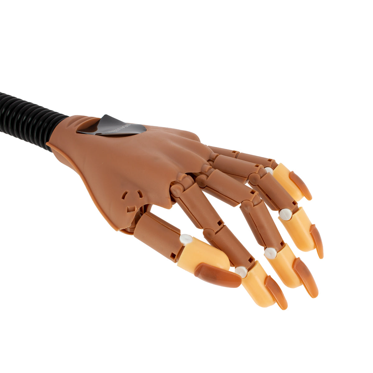 Main d'entraînement articulée flexible + 100 ongles