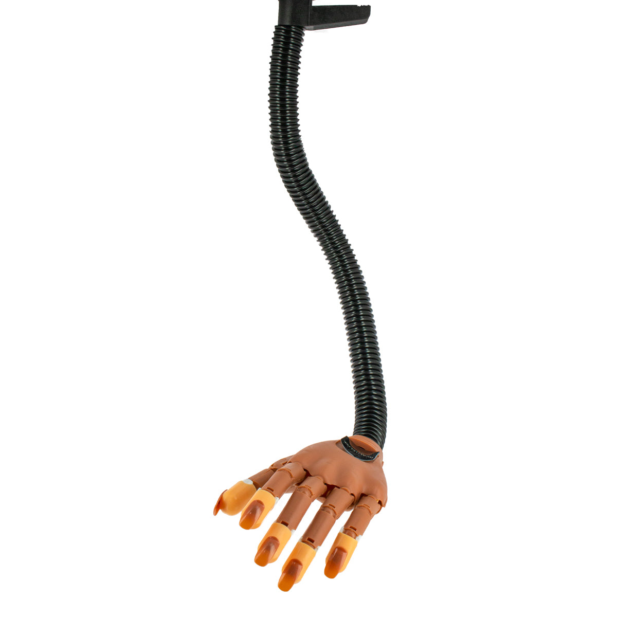 Main d'entraînement articulée flexible + 100 ongles