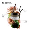 Absolut Repair Molecular Mask