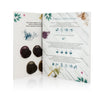 Plant-based hair dye color chart