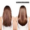 Absolut Repair Molecular Pre-Treatment