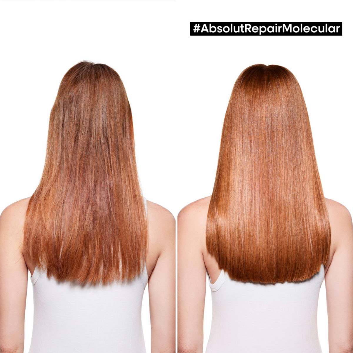 Absolut Repair Molecular Pre-Treatment