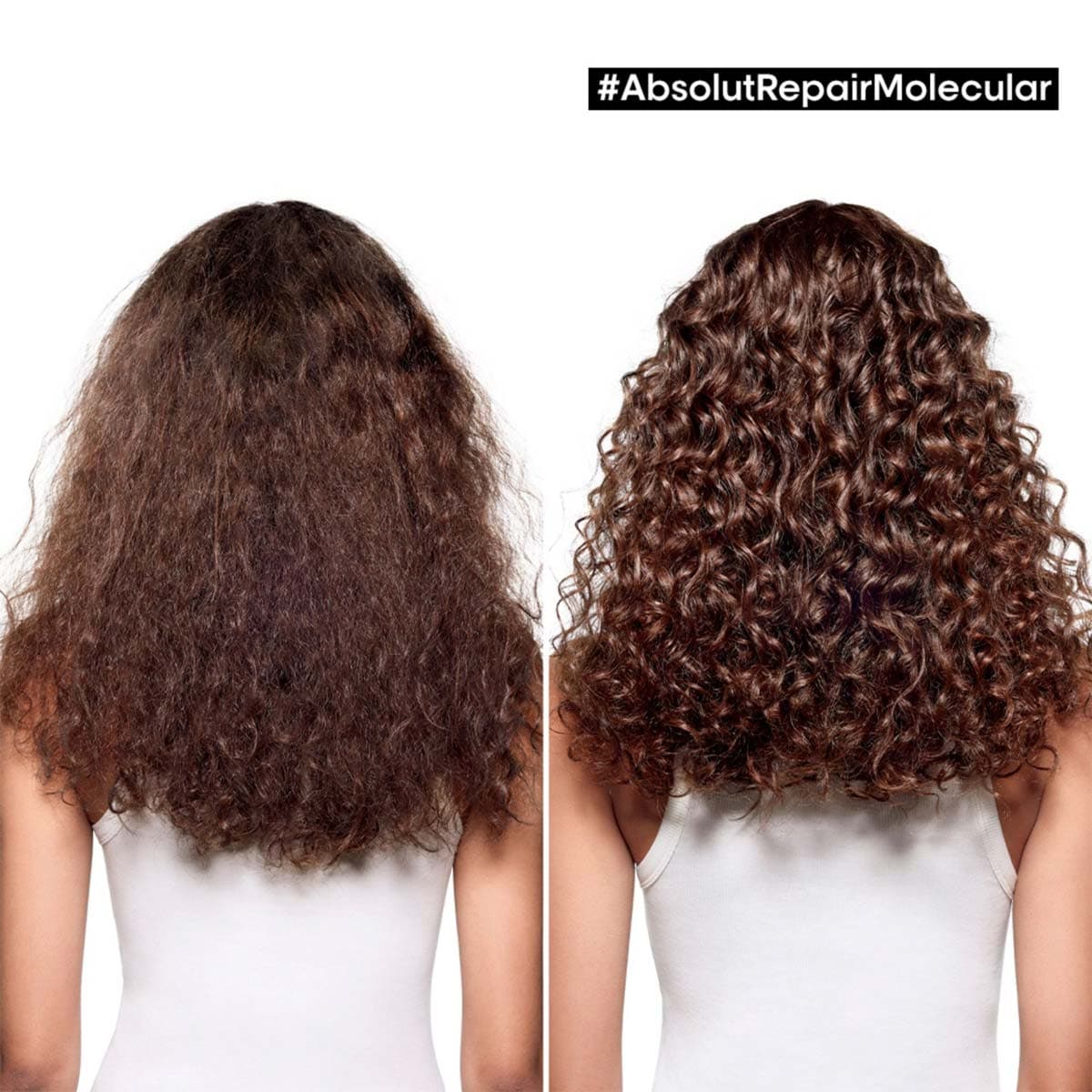 Absolut Repair Molecular Routine